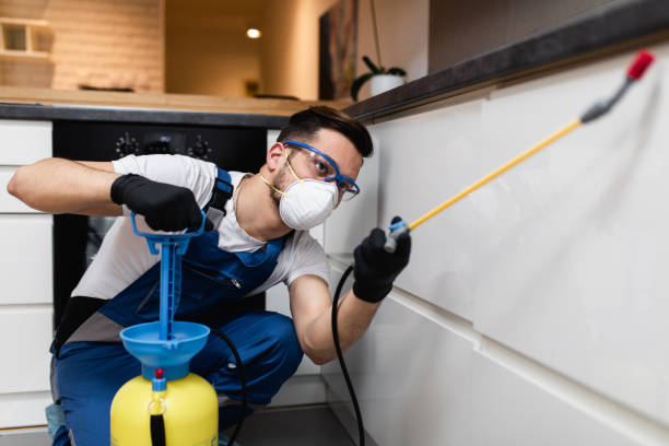 Best Emergency Pest Control  in Hoopers Creek, NC