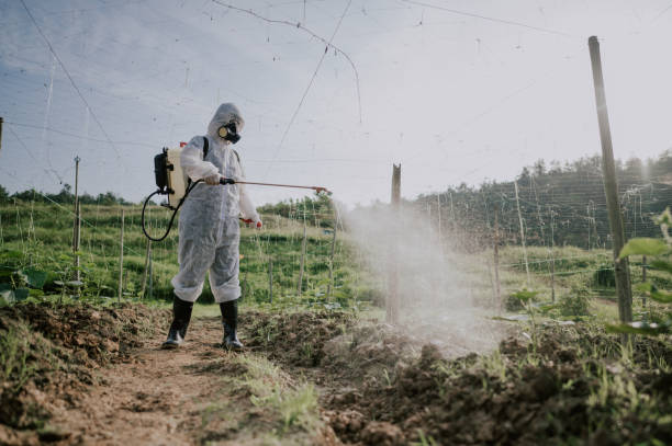 Best Pest Control for Homes  in Hoopers Creek, NC