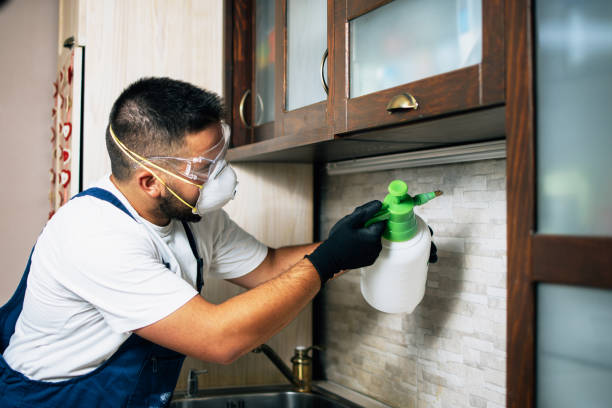 Best Wasp Removal Services  in Hoopers Creek, NC
