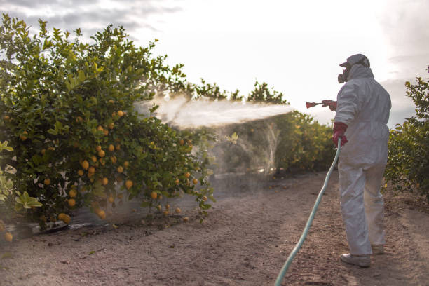 Pest Control for Restaurants in Hoopers Creek, NC