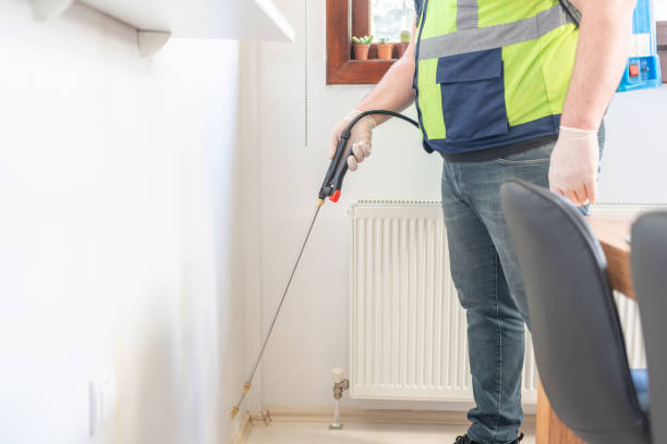 Professional Pest Control in Hoopers Creek, NC