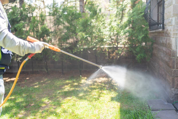 Best Pest Removal Services  in Hoopers Creek, NC