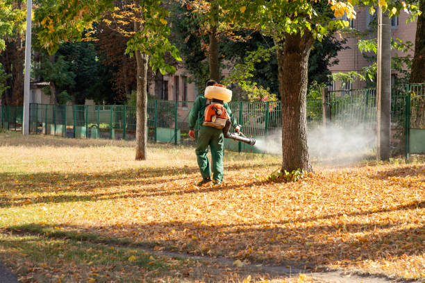 Best Rat Extermination Near Me  in Hoopers Creek, NC